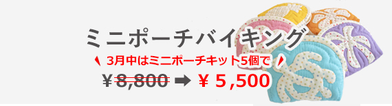 ミニポーチバイキング